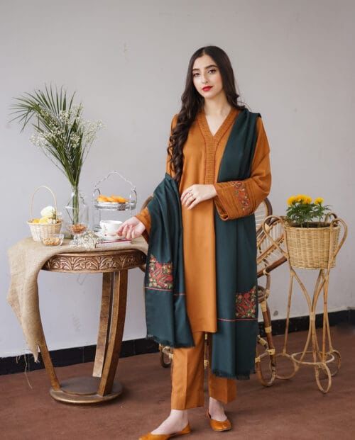 3pcs Dhanak suit