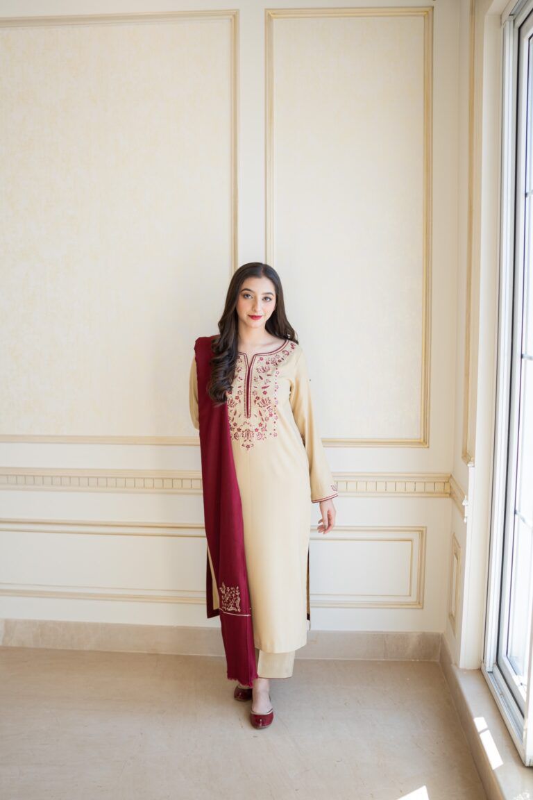 3pcs Dhanak suit