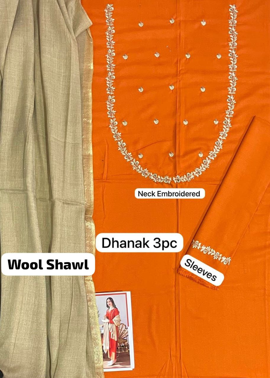 3pcs Dhanak suit